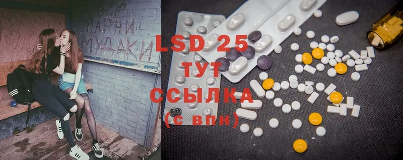 Лсд 25 экстази ecstasy  shop клад  Анжеро-Судженск 